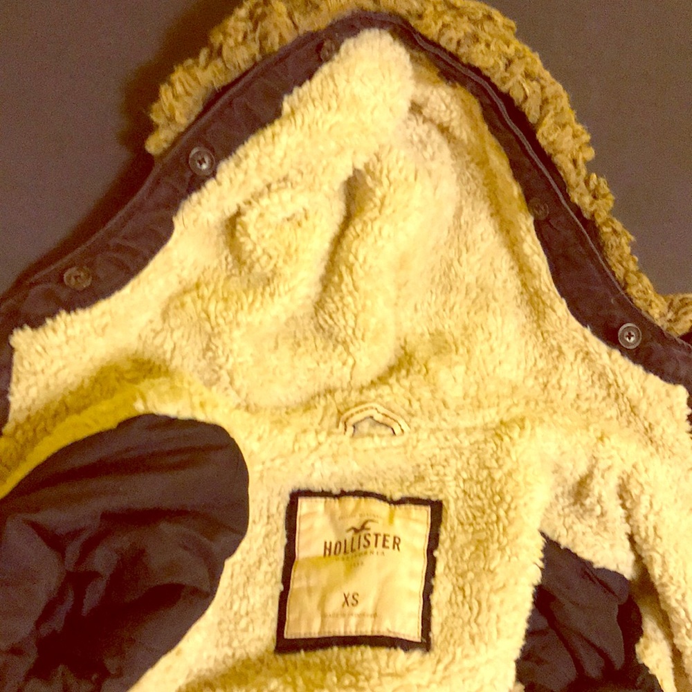 Hollister Winter Jacket